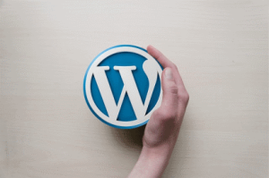 What Should You Look for in a WordPress Theme?