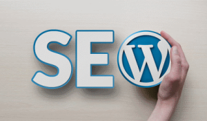 WordPress Seo